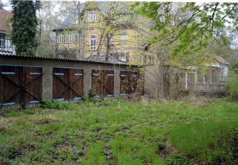 Overgrown green space with grass, garages in the background