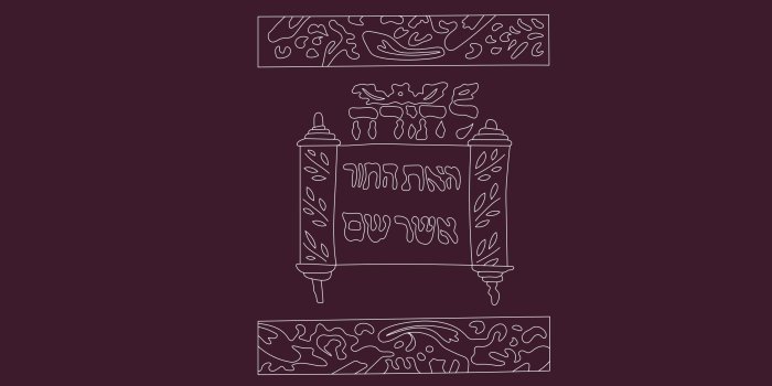 lilafarbenes Buchcover mit Titel und schematischer Darstellung einer Tora-Rolle