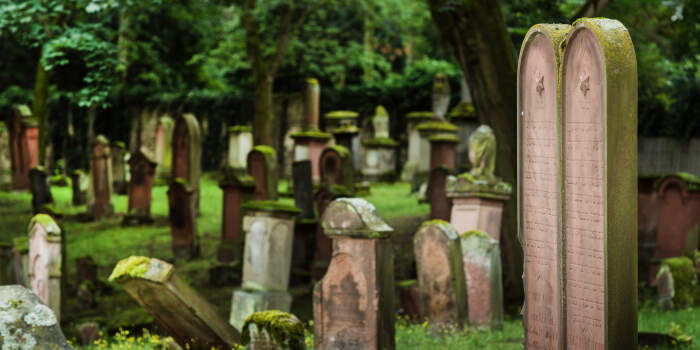 Interner Verweis: Ein Welterbe, vier Komponenten, drei Besuchszentren. Die SchUM-Stätten Speyer, Worms und Mainz und der Stand der Dinge