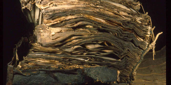 Interner Verweis: Die Restaurierung der Erfurter Riesen-Bibel