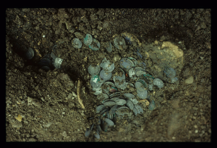 Mehrere Münzen an Ort und Stelle bei einer archäologischen Ausgrabung