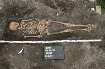 Skeleton recovered during excavation works