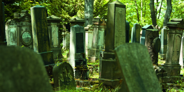 Der Neue Jüdische Friedhof in Erfurt: Kulturdenkmal und „guter Ort“