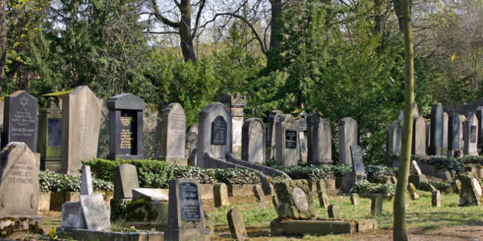 Vielfältige Grabsteine angeordnet auf einer Wiese mit Bäumen umgeben.