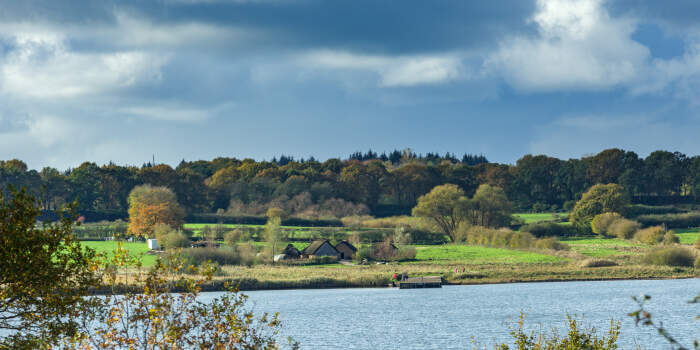 Arain! Der Erfurter Synagogenabend: Online-Vortrag am 1. März