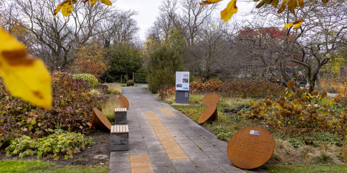 Lesungen zur Langen Nacht im Denkort Bücherverbrennung